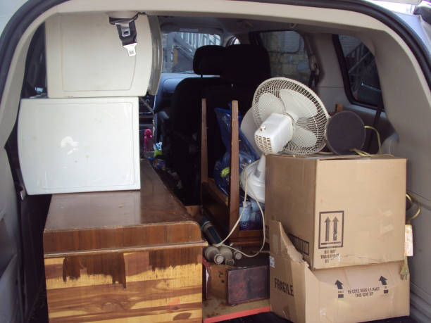 Best Hoarding Cleanup  in Rockvale, TN